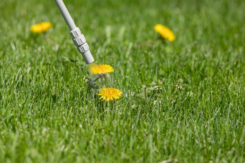 Lawn Herbicide Treatment