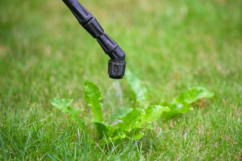 Lawn Herbicide Treatment