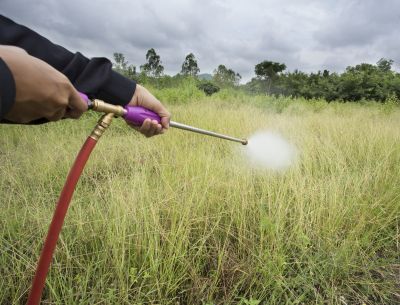 Lawn Herbicide Treatment