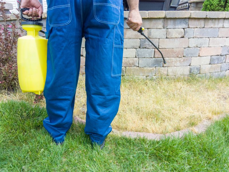 Lawn Treatment Service