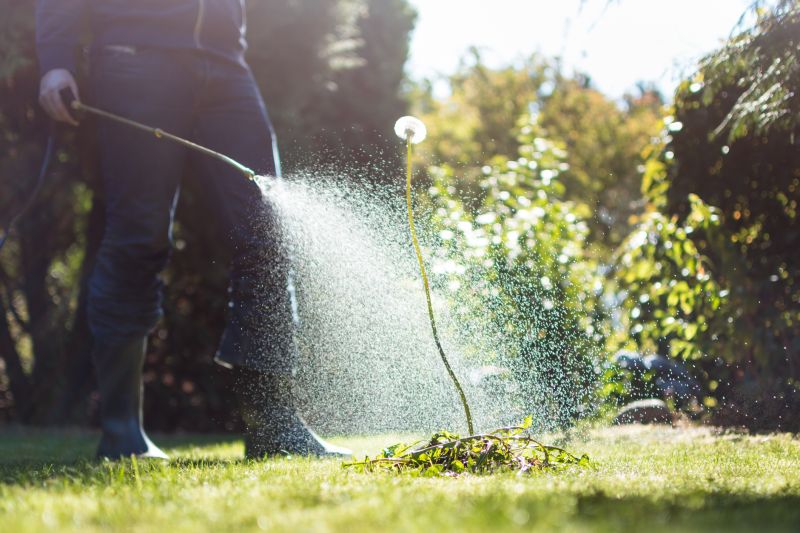 Lawn Treatment Service