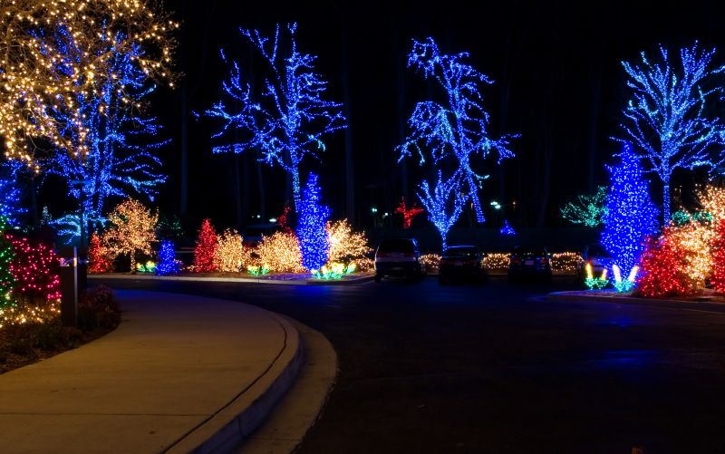 Yard Lights Installation in Pasadena, CA